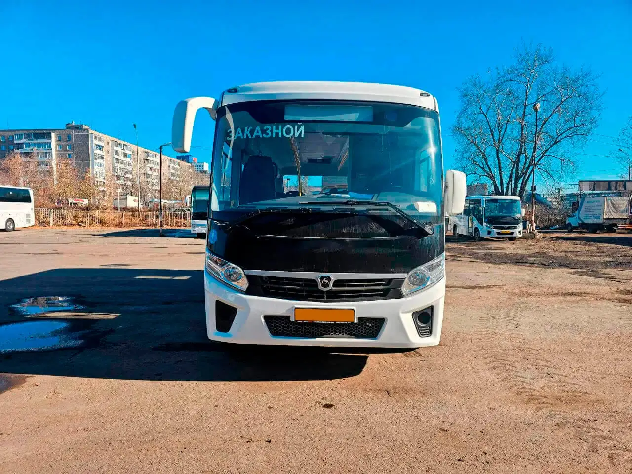 ПАЗ Вектор Next на 30 мест арендовать